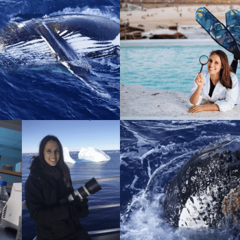 Uncovering the Secrets of Whales with Vanessa Pirotta