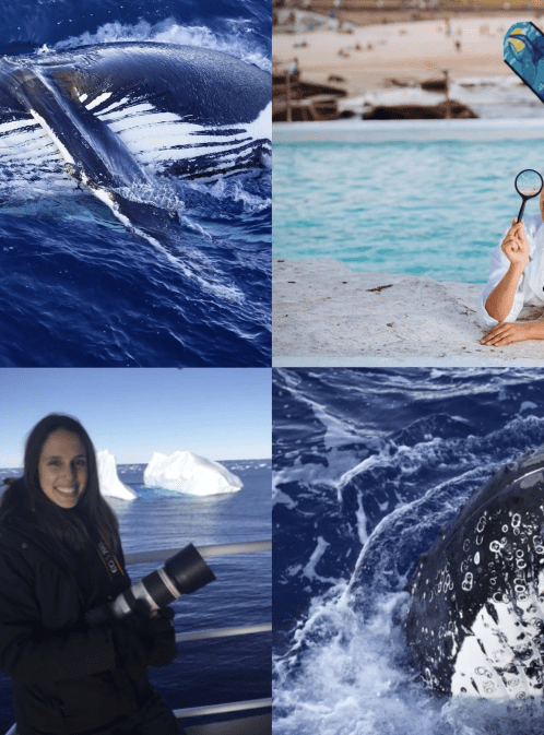 Uncovering the Secrets of Whales with Vanessa Pirotta