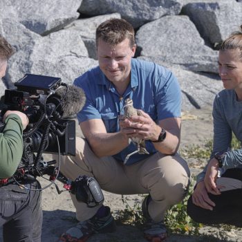 Tagging Migratory Birds with the Wings of Survival Expedition