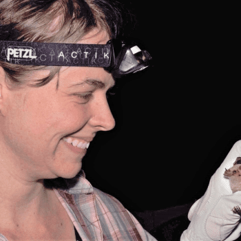 Saving Bats, Our Friends of the Night