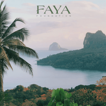 Saving the Wildlife of Principe With the Faya Foundation
