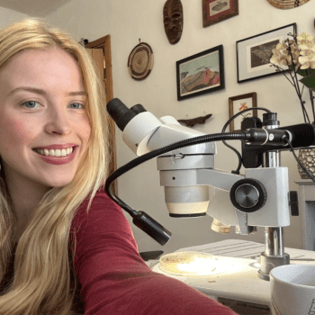 Insect Societies of the World