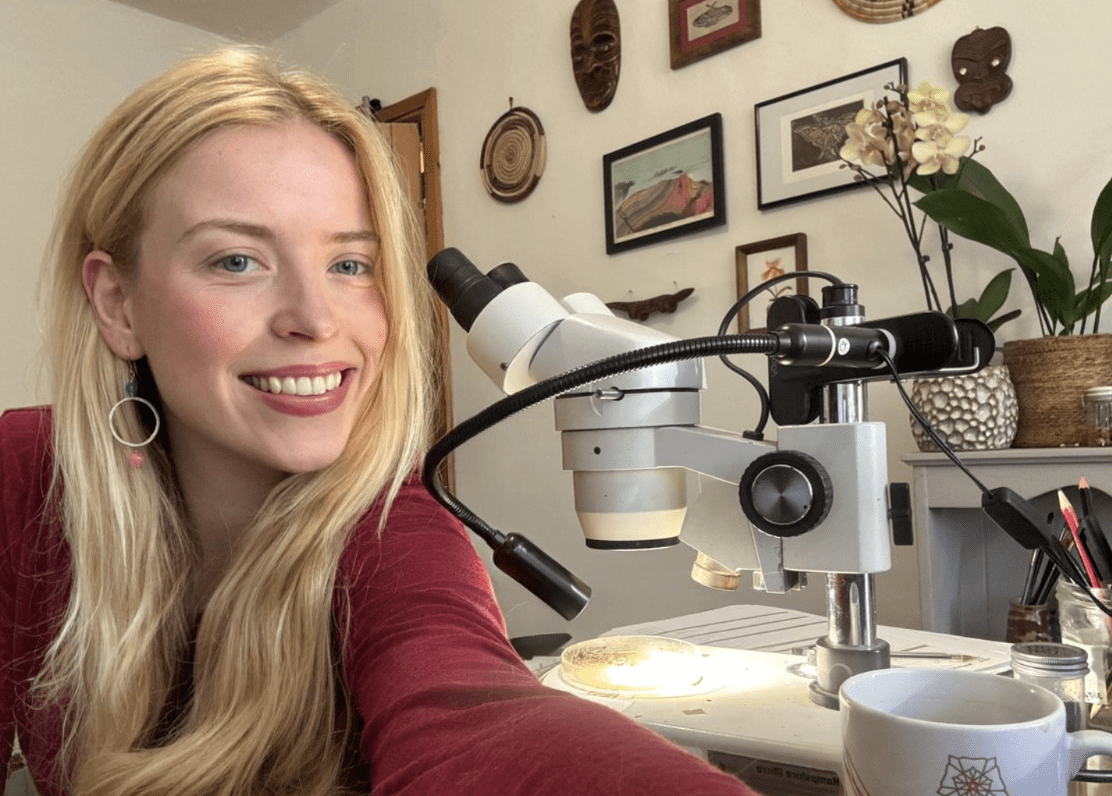 Insect Societies of the World
