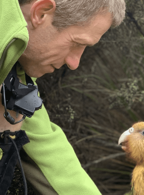 Protecting New Zealand’s Rare Birds With Andrew Digby
