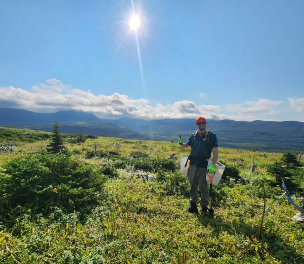 Replanting Lost Forests at the Edge of Canada