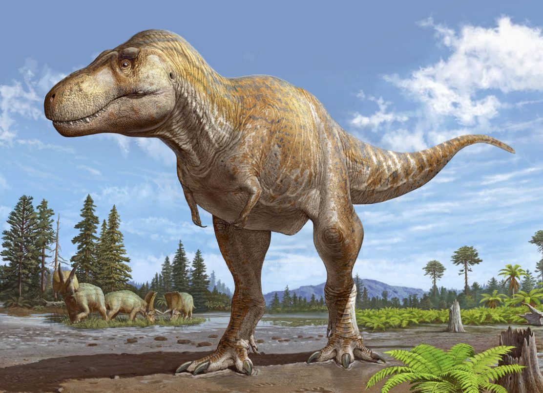 Teeth, Claws and Dinosaurs